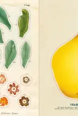 Artisan John Derian – Sticker Book (700+ autocollants vintage)