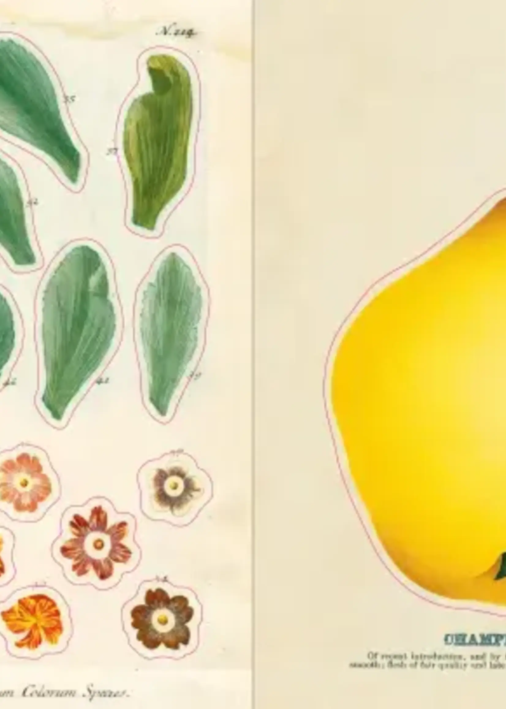 Artisan John Derian – Sticker Book (700+ autocollants vintage)