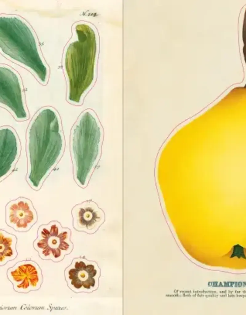 Artisan John Derian – Sticker Book (700+ autocollants vintage)