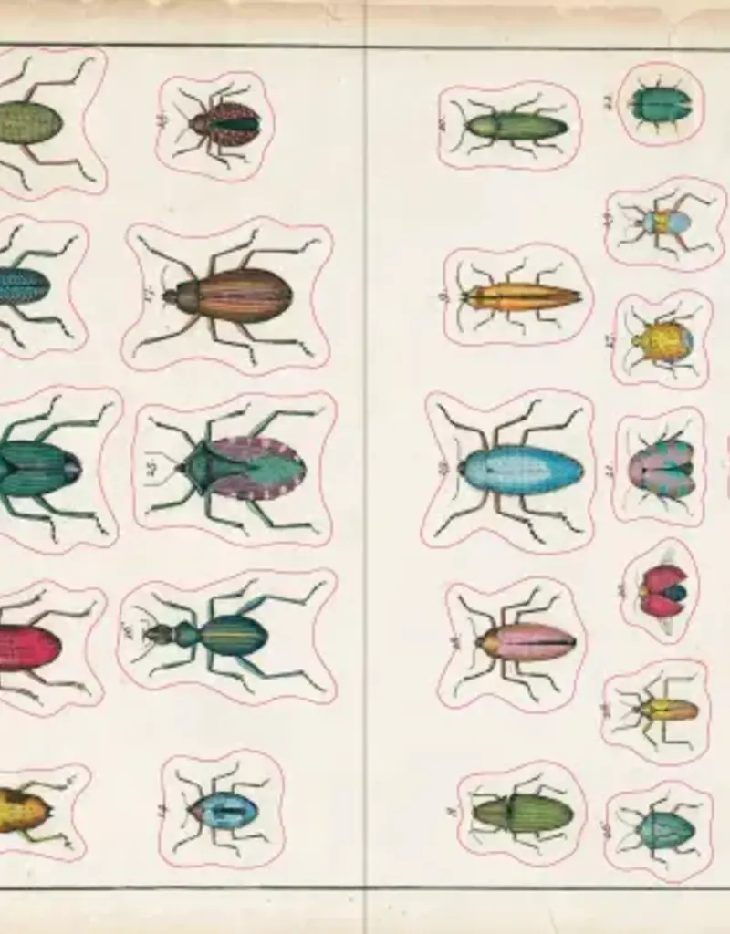 Artisan John Derian – Sticker Book (700+ autocollants vintage)