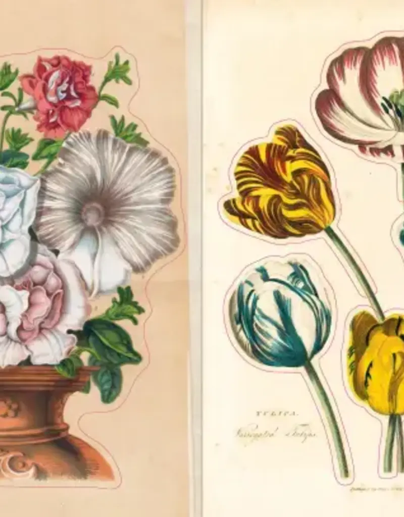 Artisan John Derian – Sticker Book (700+ autocollants vintage)