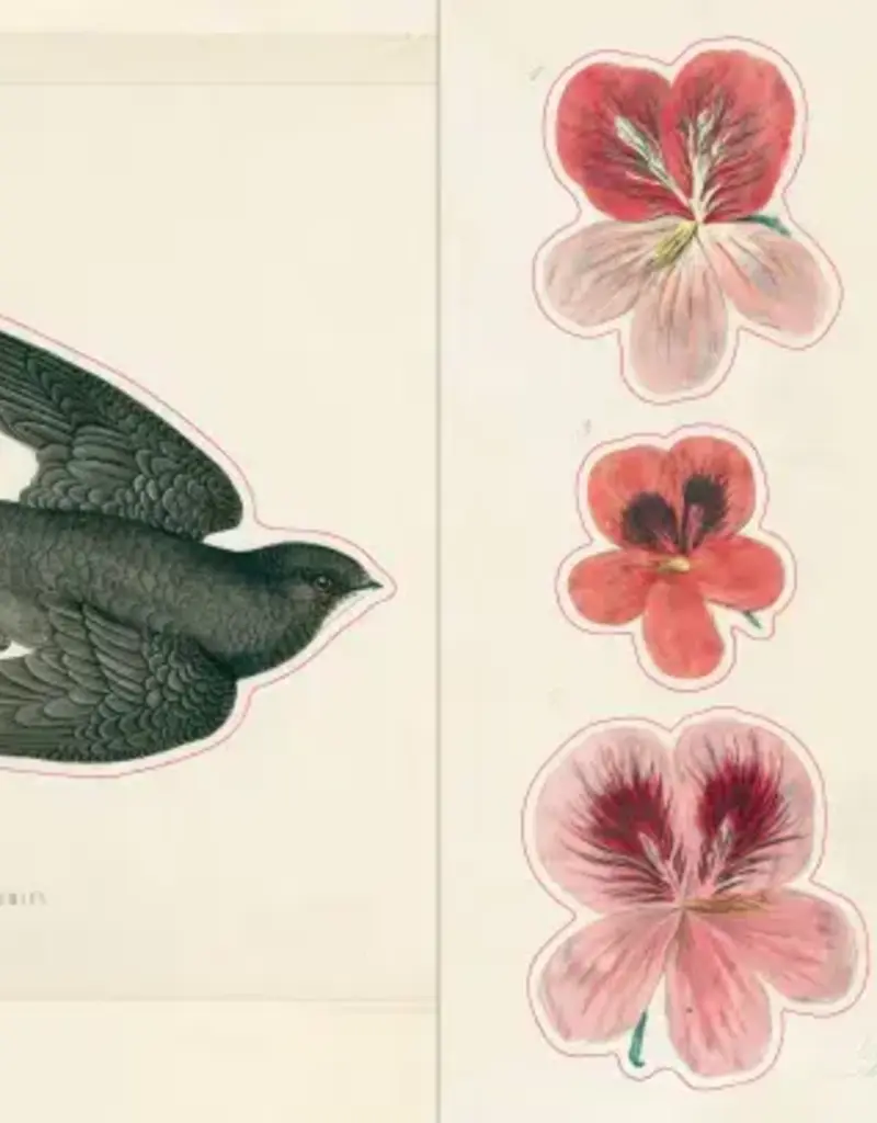 Artisan John Derian – Sticker Book (700+ autocollants vintage)