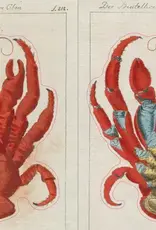 Artisan John Derian – Sticker Book (700+ vintage stickers)