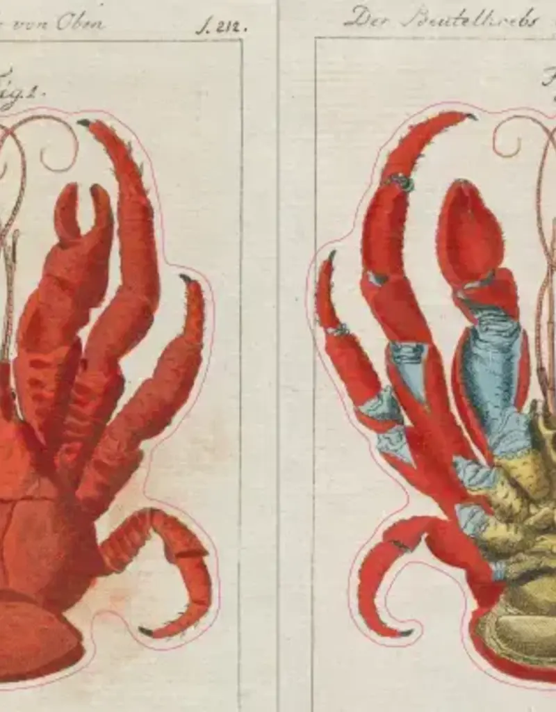 Artisan John Derian – Sticker Book (700+ autocollants vintage)