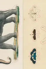 Artisan John Derian – Sticker Book (700+ autocollants vintage)