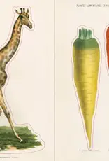 Artisan John Derian – Sticker Book (700+ vintage stickers)