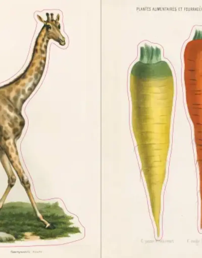 Artisan John Derian – Sticker Book (700+ autocollants vintage)