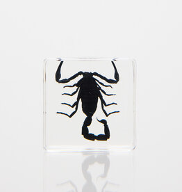 Animaux Spéciaux Paperweight – Scorpion 4×4cm