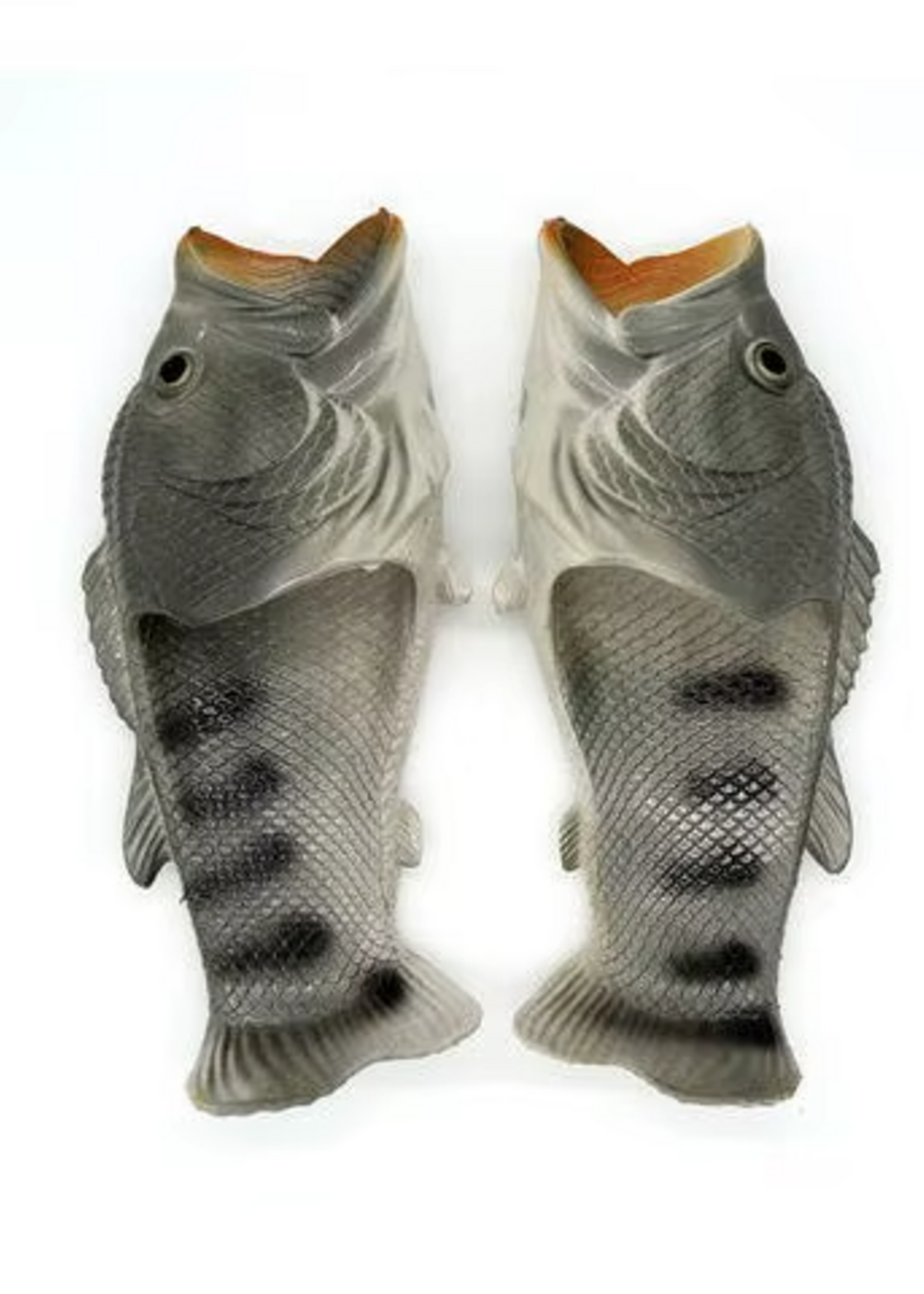 Animaux Spéciaux Grijze FishFlops