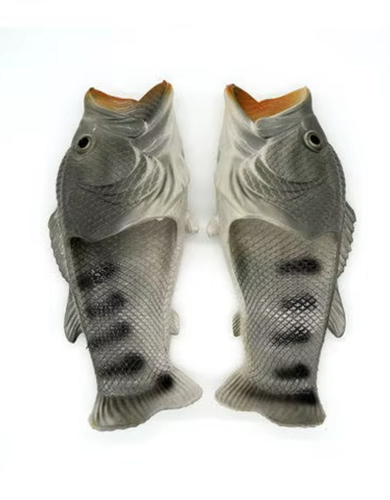 Animaux Spéciaux FishFlops Gris