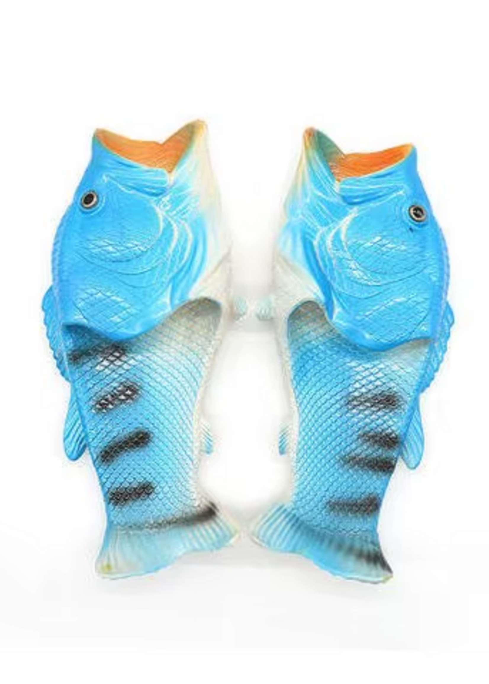 Animaux Spéciaux FishFlops Blauw