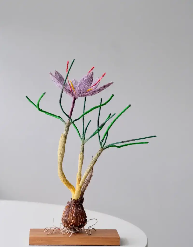 Trovelore Kunstobject – Saffraankrokus
