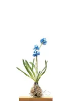 Trovelore Grape Hyacinth – Textile Art Object