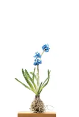 Trovelore Grape Hyacinth – Textile Art Object