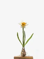 Narcisse – Objet d’art textile