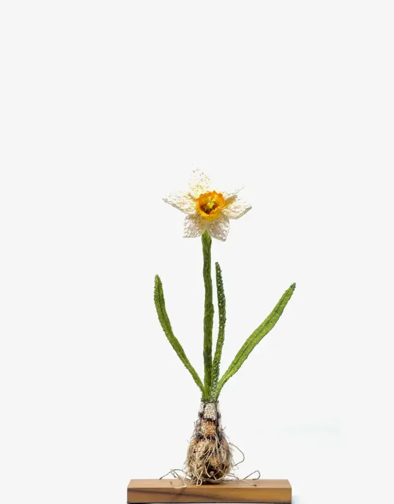 Trovelore Narcis kunstobject