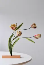 Trovelore Tulipes Rembrandt – Objet d’art