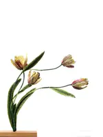 Tulipes Rembrandt – Objet d’art