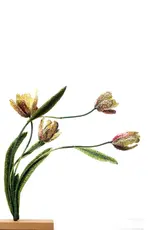 Trovelore Tulipes Rembrandt – Objet d’art