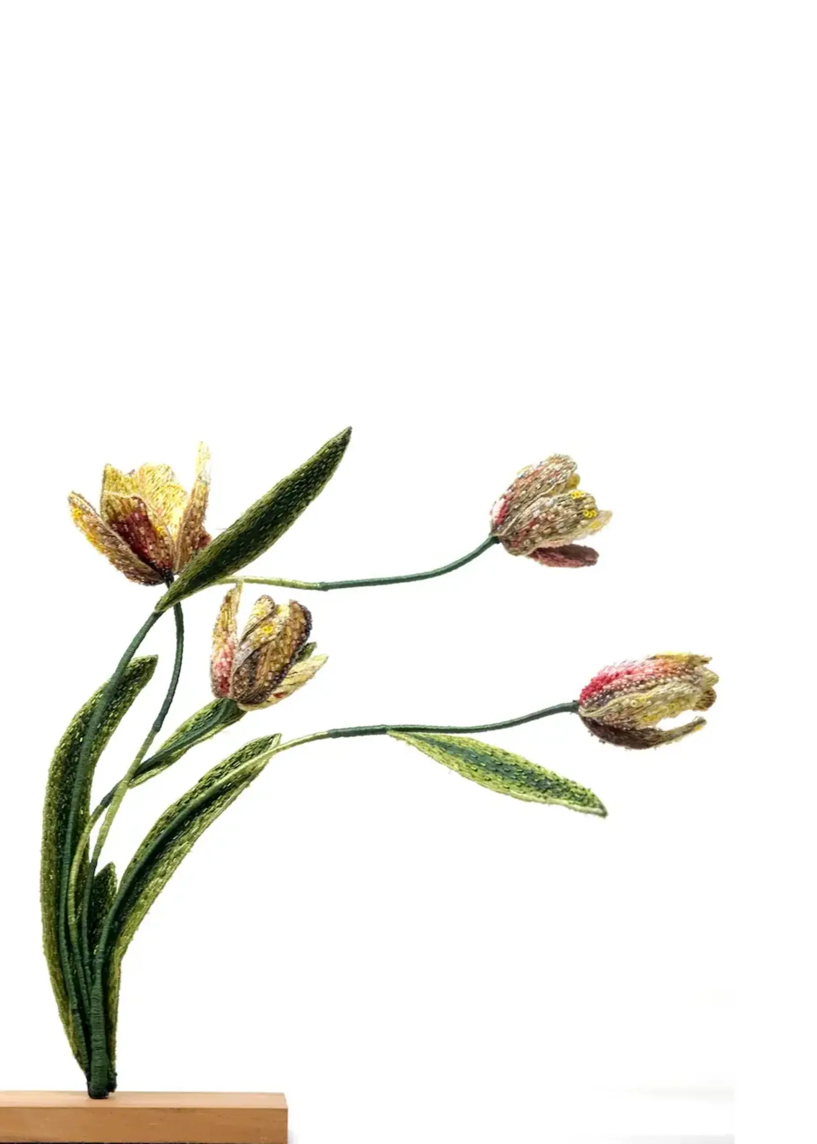 Trovelore Tulipes Rembrandt – Objet d’art