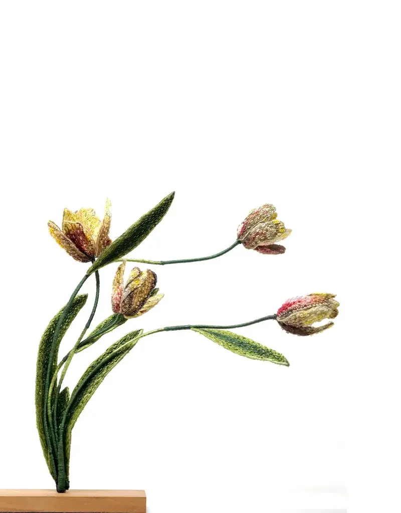 Trovelore Rembrandt tulpen objectkunst