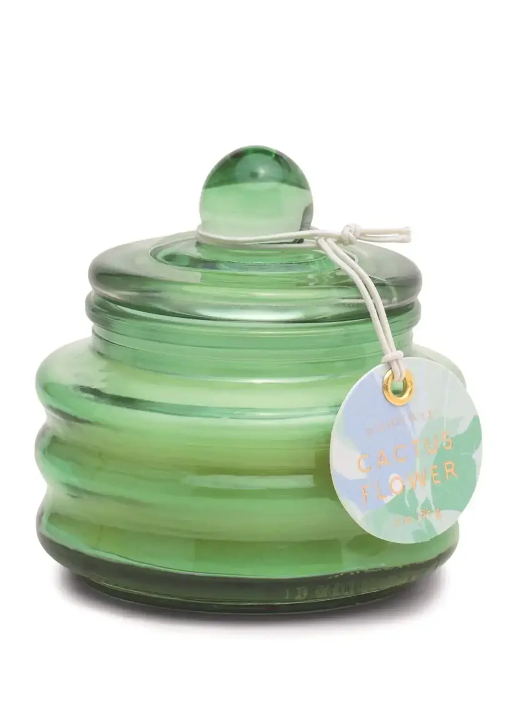 PADDYWAX Beam 3 oz Green Small Glass Vessel And Lid Cactus Flower (85g)