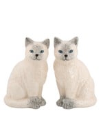 Ragdoll-kat peper- en zoutstel