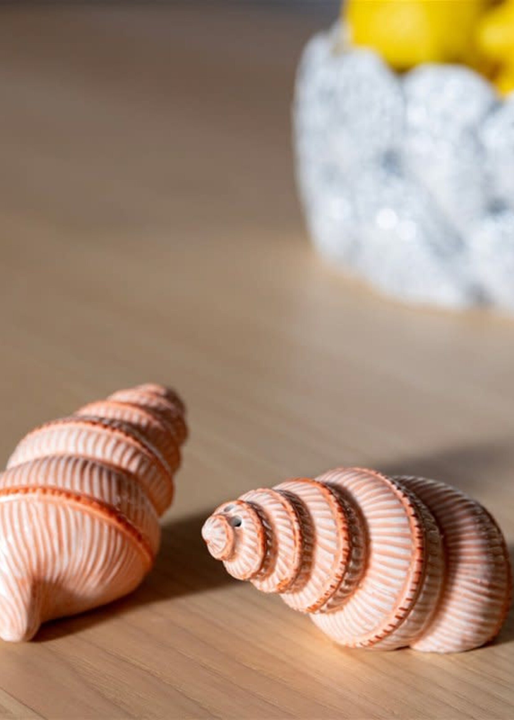 &klevering Salière et poivrière en forme de coquillages spiralés, peintes à la main