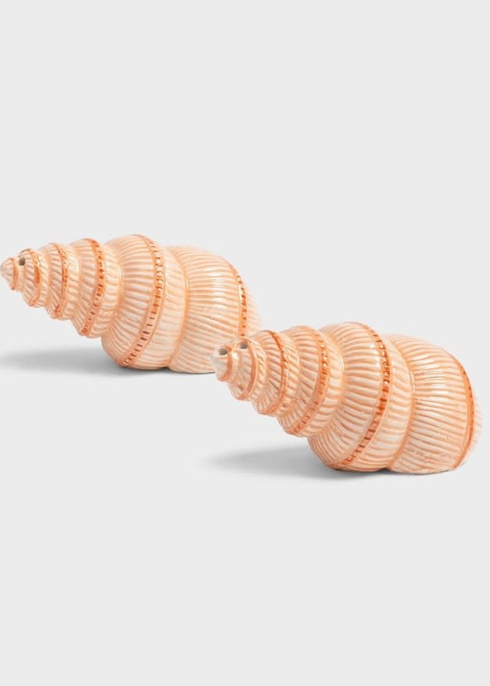 &klevering Salière et poivrière en forme de coquillages spiralés, peintes à la main