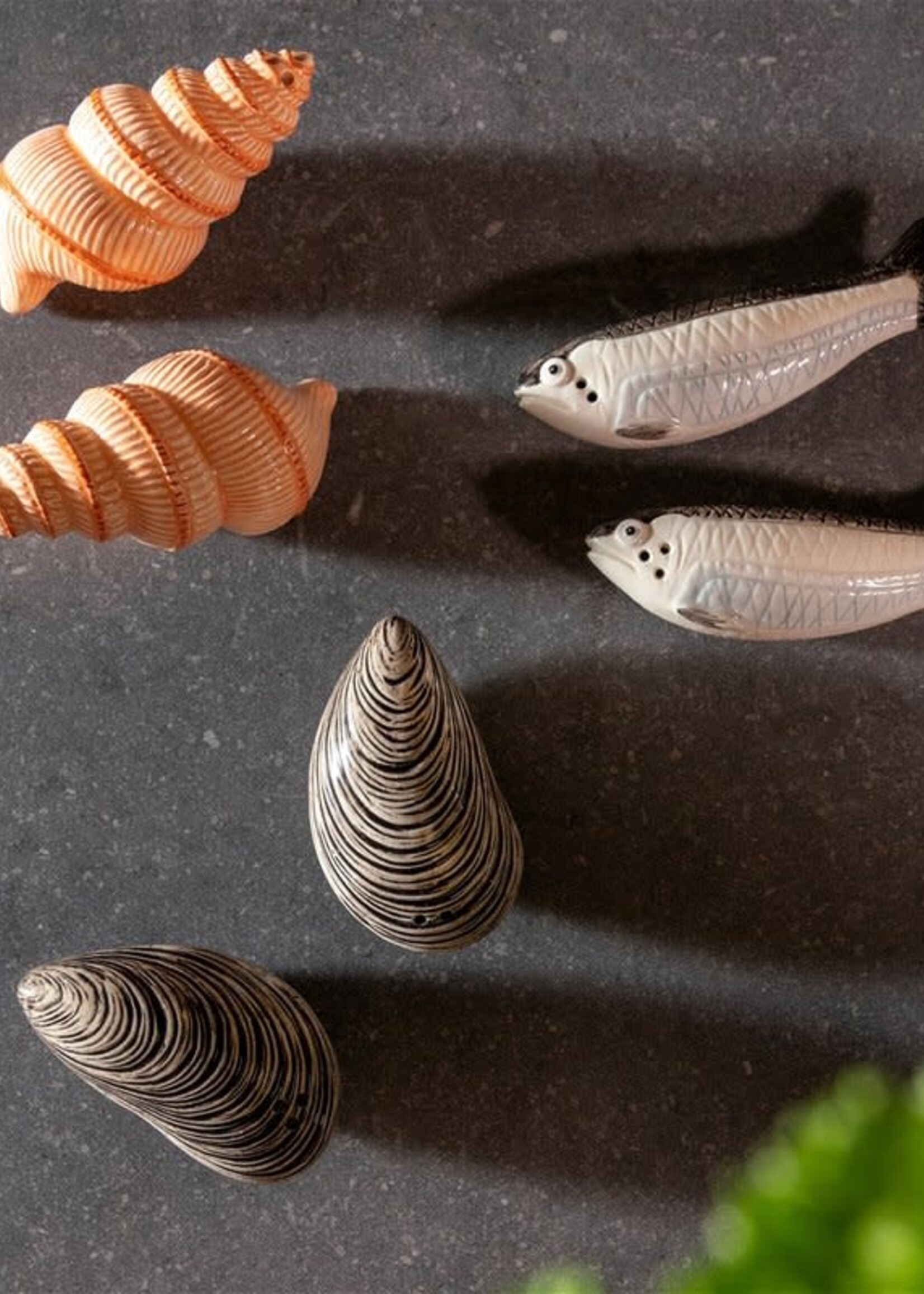 &klevering Salière et poivrière en forme de coquillages spiralés, peintes à la main