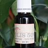 PROPOLIM Organic propolis tincture for when a radical cure is needed, 20 ml PROPOLIM Organic propolis tincture for when a radical cure is needed, 20 ml