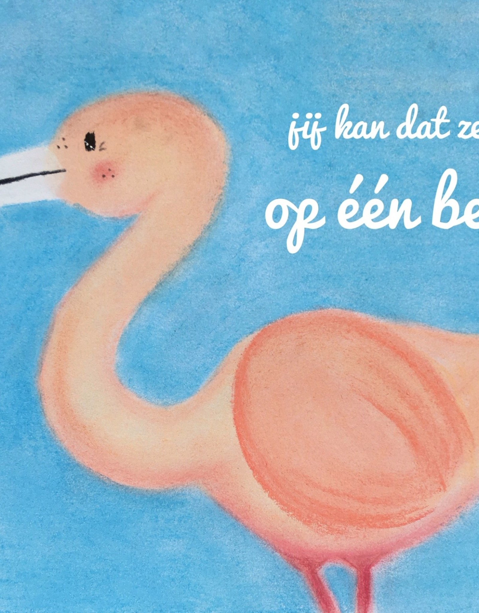 snoetjes vol sproetjes Kaartje Flamingo rechthoek - Jij kan dat zelfs op één been!