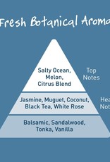 Salt of the Earth Ocean & Coconut Deodorant Spray 100 ml