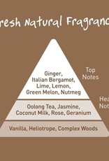 Salt of the Earth Ginger & Jasmine Deodorant Spray 100 ml