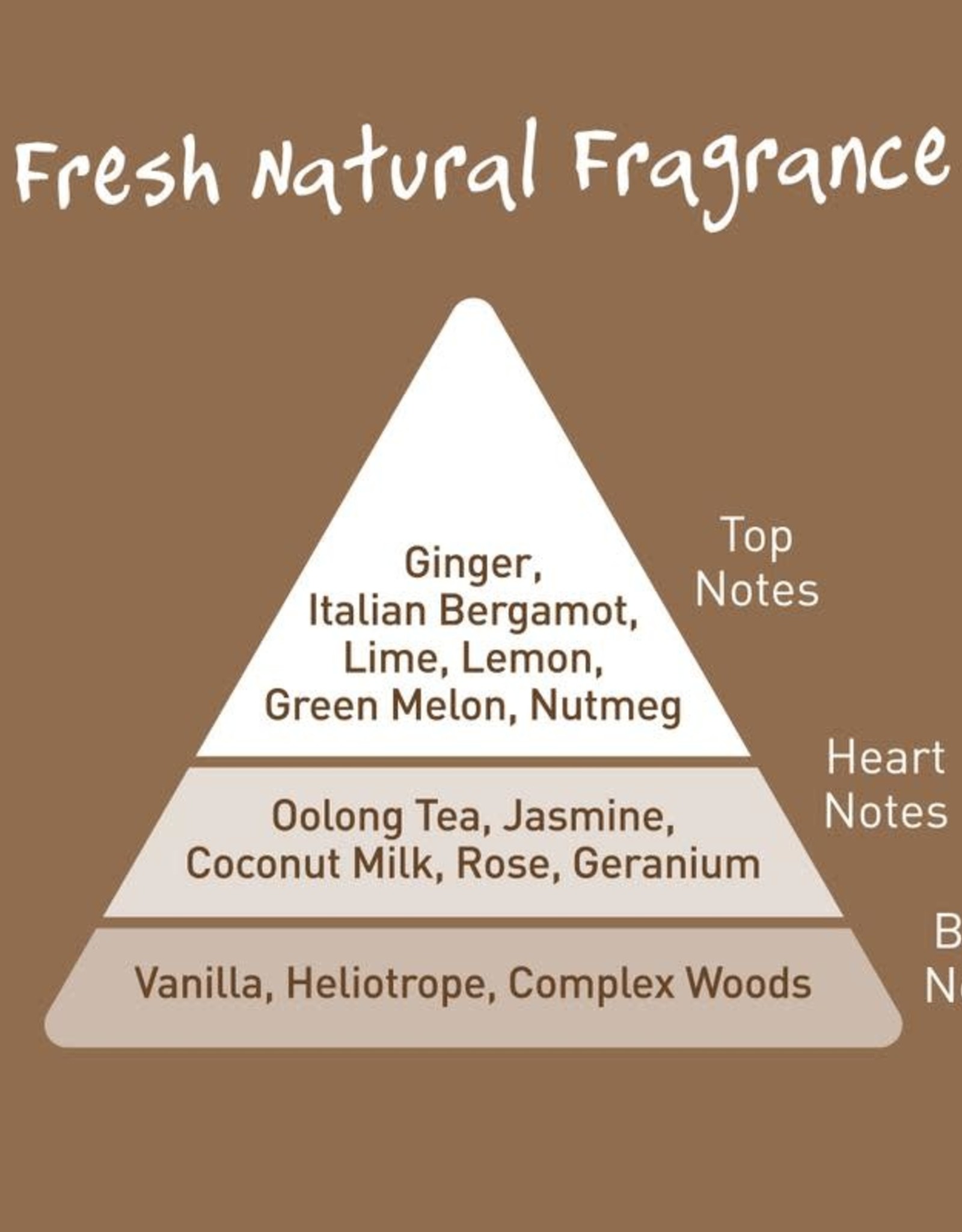Salt of the Earth Ginger & Jasmine Deodorant Spray 100 ml
