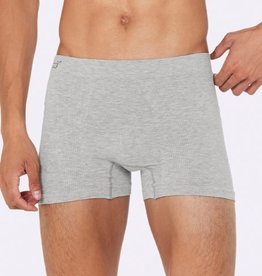 Boody Boody - Men's Original Boxers seamfree - Light Grey