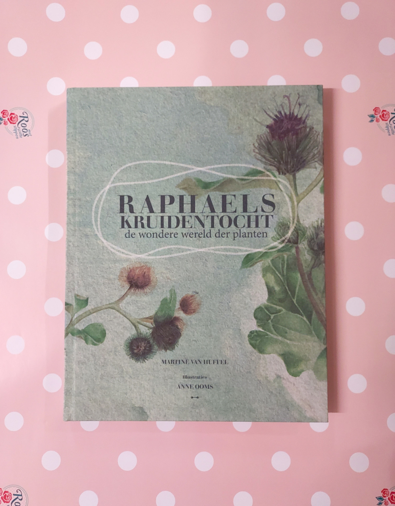 Anne Ooms Raphaels Doe-Boek