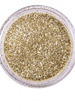 PartyXplosion PXP biodegradable powder glitter 2.5 gr. dutch silver