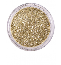 PartyXplosion PXP biodegradable powder glitter 2.5 gr. dutch silver