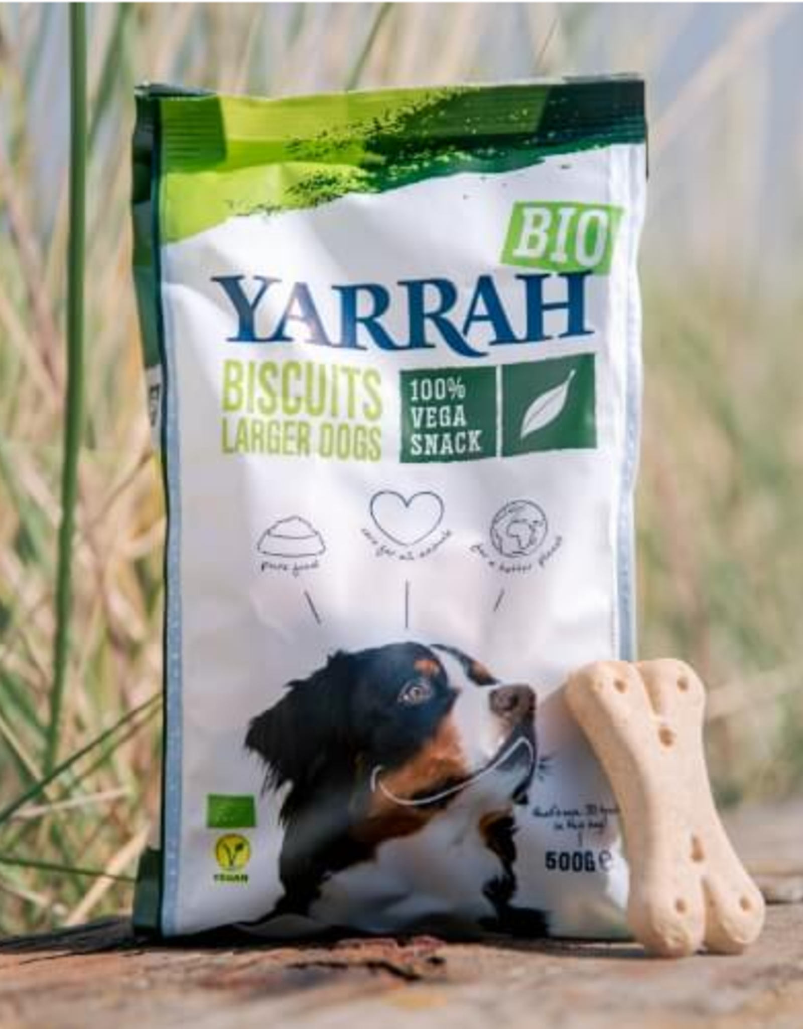 Yarrah STEUNACTIE - Yarrah Biologische vegan hondenkoekjes voor grotere honden 500g