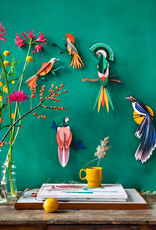 Studio Roof Paradise Bird - Rani - Studio Roof Studio Roof Paradise Bird - Rani - Studio Roof