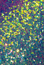 karla cosmetics Special effects Glitter 2g