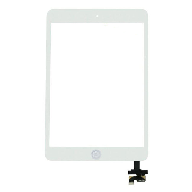 Apple Apple iPad Mini scherm