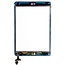 Apple Apple iPad Mini 2 display