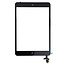 Apple Apple iPad Mini 1 display