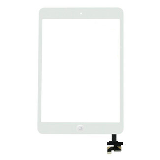 Apple iPad Mini 2 display