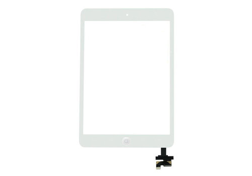 iPad Mini 2 display 