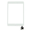 Apple Apple iPad Mini 2 display