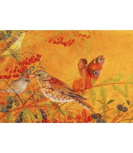 Daniela Drescher Komm mit ins Elfenland