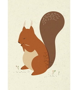 Vierundfünfzig Illustration Eichhörnchen